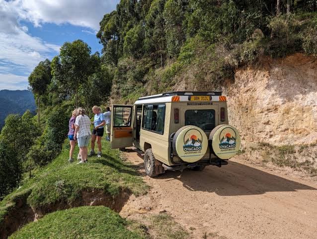 4-Day Rwanda Mountain Gorilla and Golden Monkey Safari